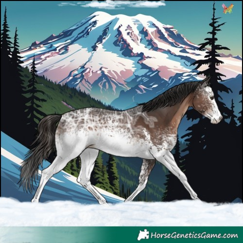 Horse Color:White Spotted Liver Chestnut Ice Sabino