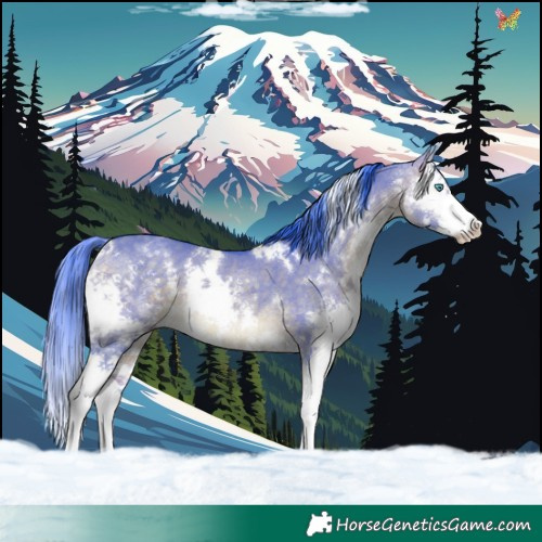 Horse Color:Watercolor White Spotted Brown Dun Splash Rabicano