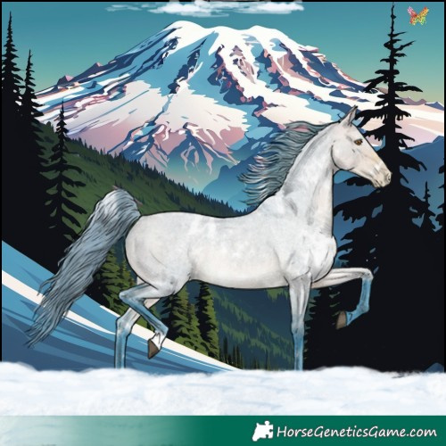 Horse Color:Watercolor White Spotted Buckskin Roan Dun Blanket Rabicano