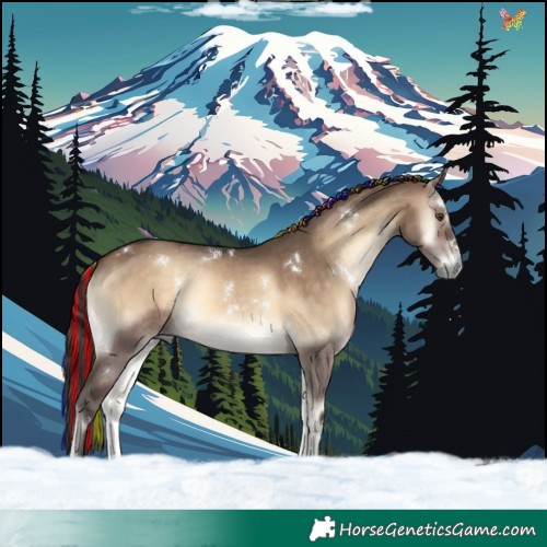 Horse Color:Painted White Spotted Bay Onyx Rabicano