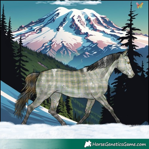Horse Color:Plaid White Spotted Brown Dun Varnish Rabicano