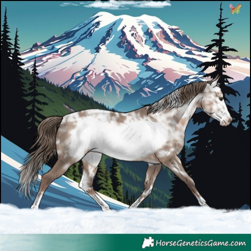 Horse Color:White Spotted Liver Red Dun Ice Frame Rabicano 