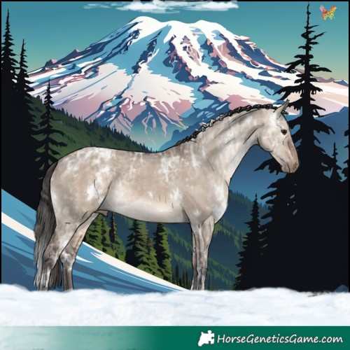 Horse Color:White Spotted Brown Ice Dun Rabicano