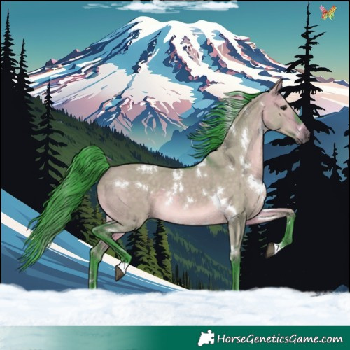 Horse Color:Watercolor White Spotted Brown Dun Rabicano 