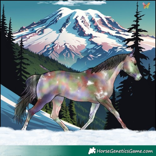 Horse Color:Nacre White Spotted Brown Onyx Tobiano Rabicano 