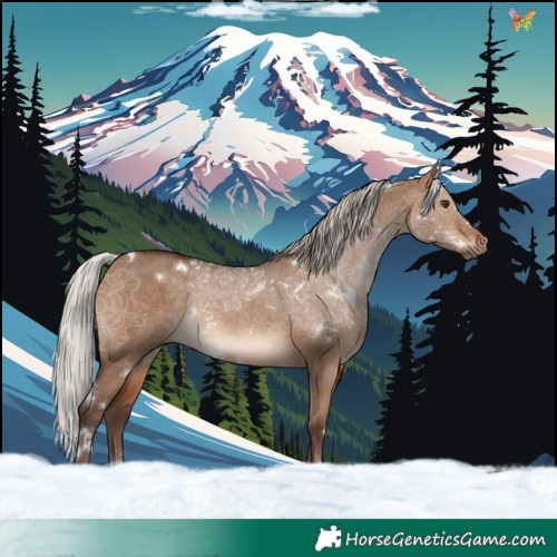 Horse Color:White Spotted Silver Brown Dun Rabicano