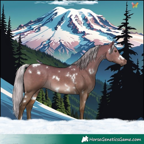 Horse Color:White Spotted Silver Bay Dun Tobiano Rabicano