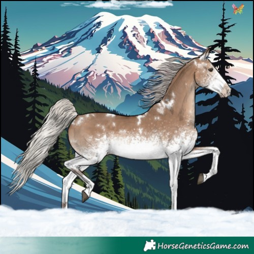 Horse Color:White Spotted Silver Brown Dun Rabicano 