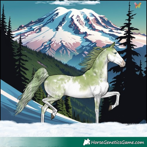 Horse Color:Watercolor White Spotted Liver Red Dun Splash Rabicano