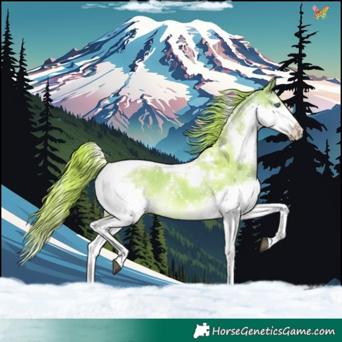 Horse Color:Watercolor White Spotted Liver Red Dun Splash Tobiano Rabicano 