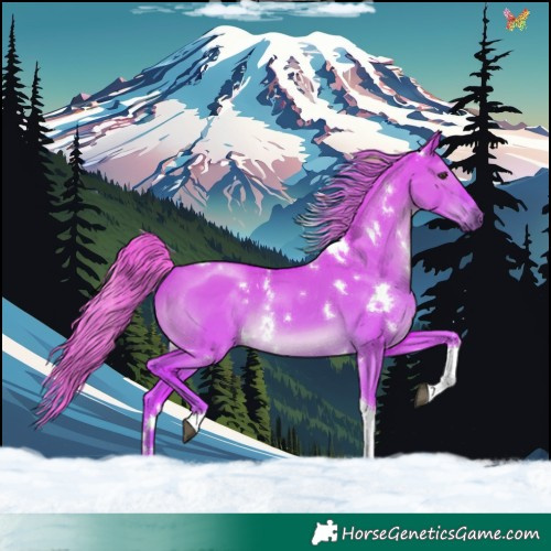 Horse Color:Watercolor White Spotted Liver Red Dun Tobiano Rabicano