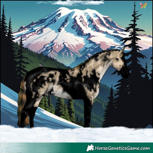 Horse Color:Void Plaid  White Spotted Liver Red Dun Splash Tobiano Rabicano Brindle 