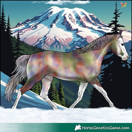 Horse Color:Nacre Silver Brown Onyx Splash 