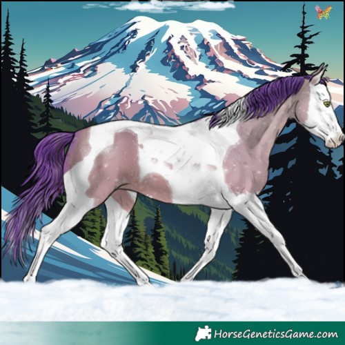 Horse Color:Watercolor Amber Champagne Dun Splash Tobiano 