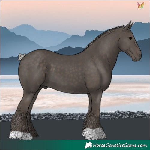 Horse Color:Silver Black 