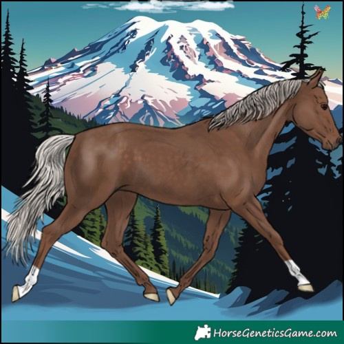 Horse Color:Silver Black 