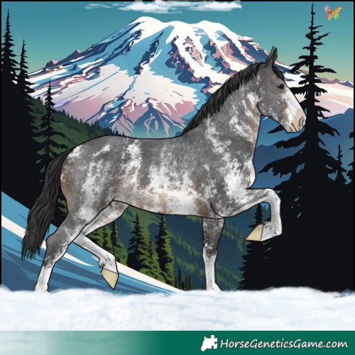 Horse Color:Brown Sabino