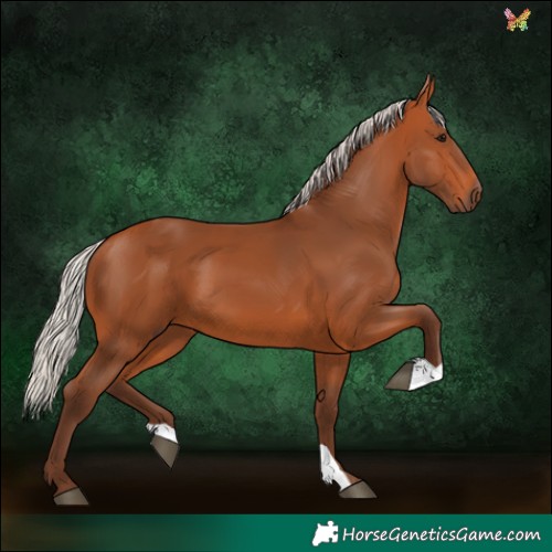 Horse Color:Silver Bay 