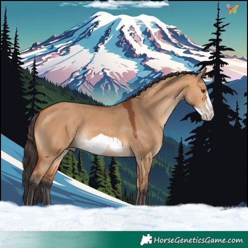 Horse Color:Bay Dun Frame Rabicano