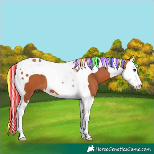 Horse Color:Painted Silver Bay Splash Tobiano 