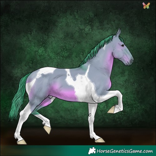 Horse Color:Watercolor Grullo Tobiano 