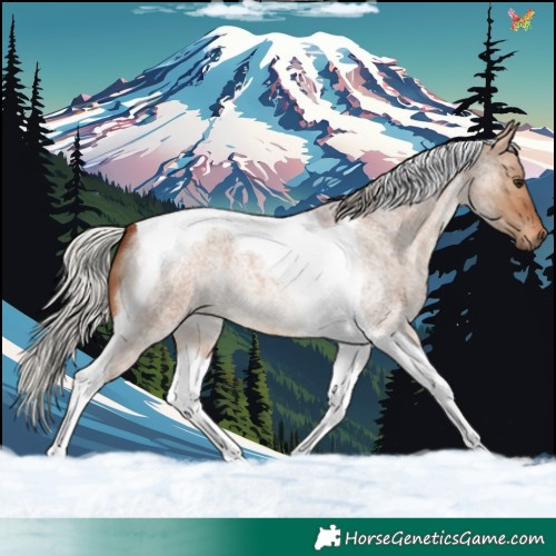 Horse Color:Silver Brown Roan Dun Tobiano 