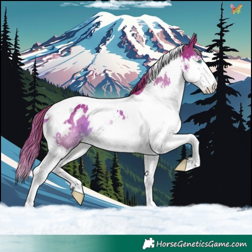 Horse Color:Watercolor White Spotted Liver Chestnut Splash Tobiano 