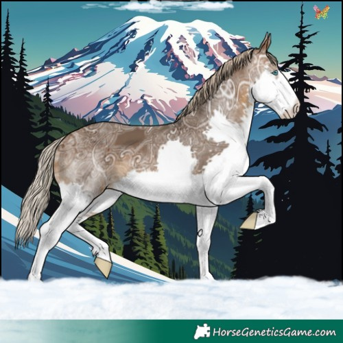 Horse Color:Silver Brown Ice Splash