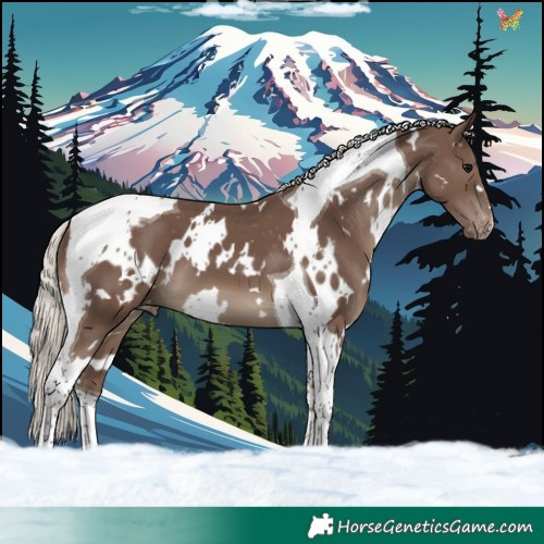 Horse Color:White Spotted Silver Black Tobiano Varnish 