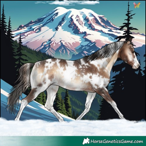 Horse Color:White Spotted Liver Red Onyx Rabicano