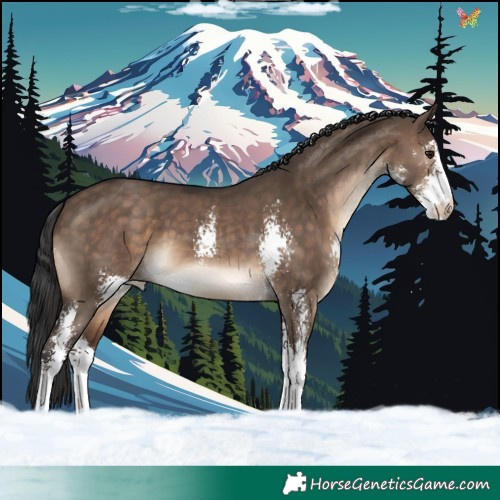Horse Color:Brown Dun Sabino 