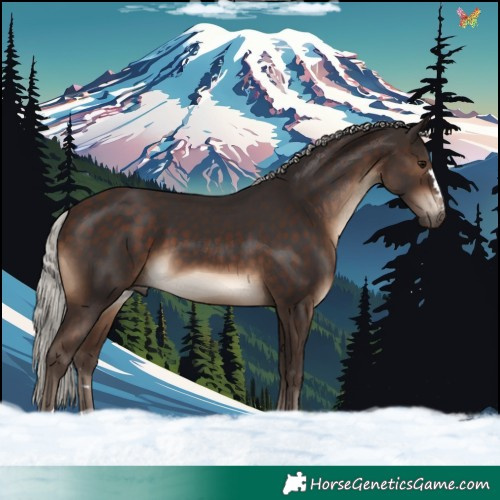 Horse Color:Silver Brown 