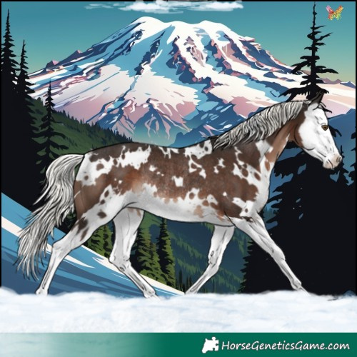 Horse Color:White Spotted Liver Chestnut Mushroom Sabino Splash Rabicano 
