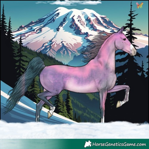 Horse Color:Watercolor Brown Dun Rabicano 