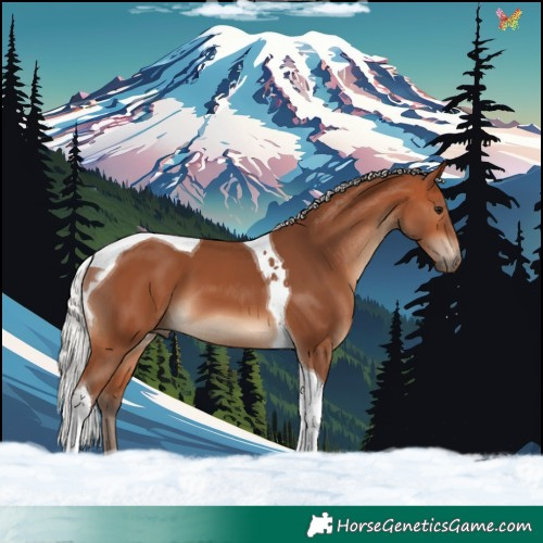 Horse Color:Silver Bay Tobiano 