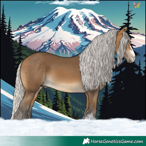 Horse Color:Silver Buckskin 