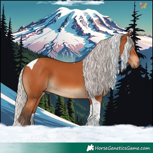 Horse Color:Silver Bay Tobiano