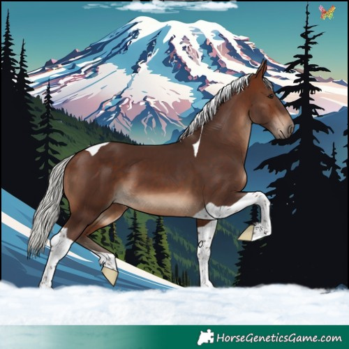 Horse Color:Silver Brown Tobiano