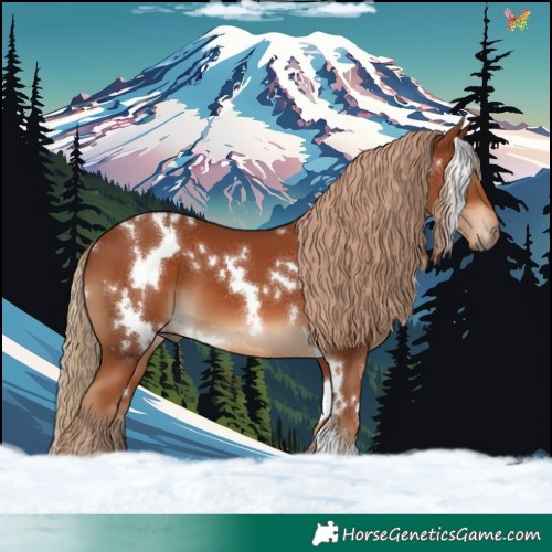 Horse Color:White Spotted Chestnut