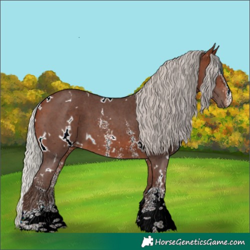 Horse Color:White Spotted Silver Brown Sabino 