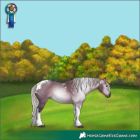 Horse Color:Gray Silver Brown Dun Tobiano 