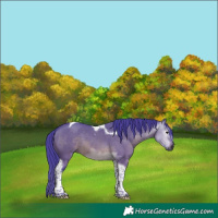 Horse Color:Gray Watercolor Brown Dun Tobiano