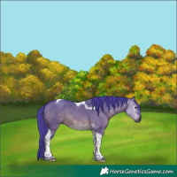 Horse Color:Gray Watercolor Brown Dun Tobiano 