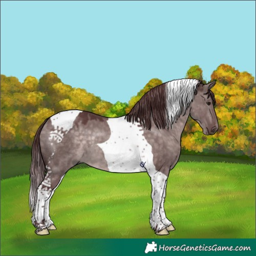 Horse Color:Platinum Chocolate Brown Dun Tobiano 