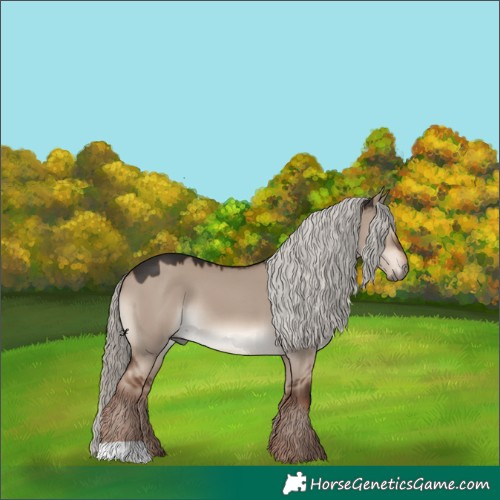 Horse Color:Liver Red Dun Mushroom 