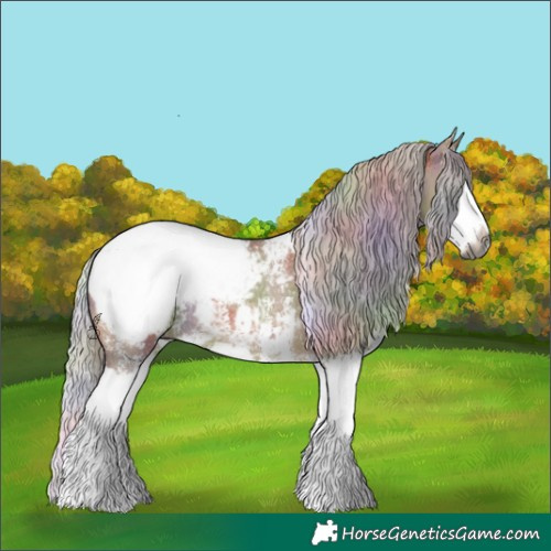 Horse Color:Gray Nacre Silver Bay Dun Sabino Splash Appaloosa Rabicano