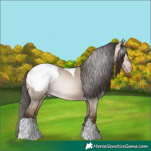 Horse Color:Gray Amber Champagne Dun Sabino Tobiano Snowcap Rabicano 