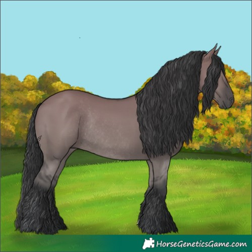 Horse Color:Grullo Rabicano