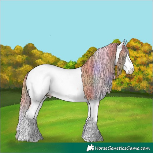 Horse Color:Nacre Buckskin Snowdrop Sabino Splash Appaloosa 