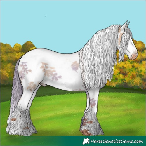 Horse Color:Gold Champagne Dun Sabino Varnish Rabicano 